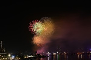 烟花绽放点亮夜空。（图：高安边）