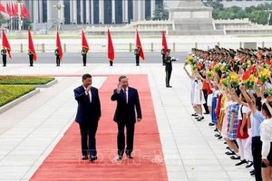 中共中央总书记、国家主席习近平与越南共产党中央总书记、国家主席苏林。