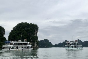 下龙湾已准备好迎接游客回归。