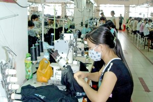 合作永续发展越南纺织品成衣与鞋业