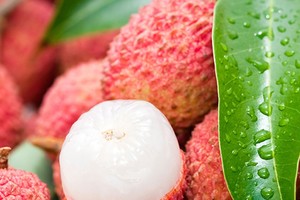 荔枝怎么吃才不上火