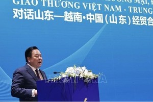 党中央委员、中央政策与战略委员会副主任、越中友好协会主席阮黄英。