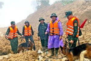 岘港市雄山乡滑坡事故遇难者搜寻工作暂停