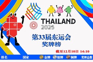 截至12月10日14时10分的第33届东运会奖牌榜。