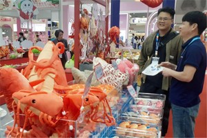 越南玩具市场潜力甚大且有待挖掘。