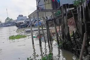 Sạt lở bờ sông ở An Giang, 10 căn nhà bị thiệt hại