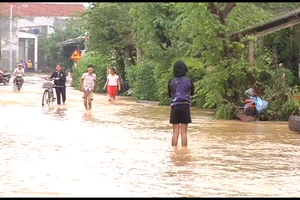 Quảng Ngãi: Lũ dâng cao, gần 1.000 học sinh nghỉ học