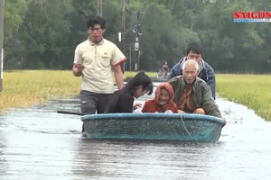 Quảng Nam: Bão lũ hoành hành, thiệt hại hàng trăm tỷ đồng