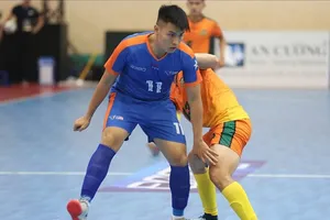 Hanoi Buffaloes hiện đang có phong độ rất tốt để sẵn sàng hướng đến Cúp vô địch