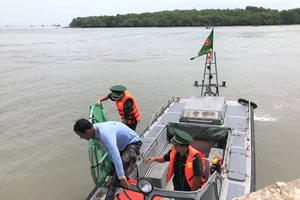 Thành viên Liên đoàn Dù lượn bất ngờ rơi xuống biển Cần Giờ tại Lễ hội Nghinh Ông