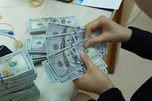 US dollar exchange rate hits all-time high