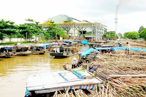 Many sugar refinery plants go bankrupt. (Photo: SGGP)