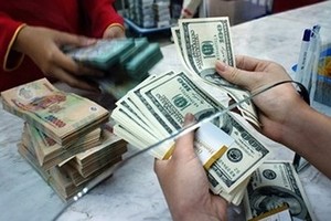 US dollar exchange rate hits new record