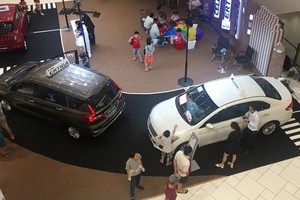 Prices of cars remain unchanged in spite of excessive supplies