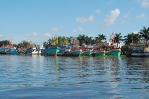 Several fishing vessels in Kien Giang Province are mooring at the dock although it is the main fishing season of the year. (Photo: SGGP)