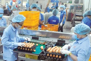 HCMC focuses on preparing goods for Tet holidays