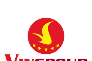 Vingroup unexpectedly retreats from aviation industry