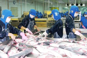 Prices of pangasius fish, poultry eggs in Mekong Delta continue to decline