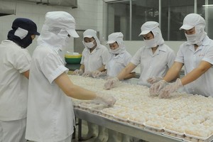 Food processing enterprises increase production capacity to meet the increasing demand. (Photo: SGGP)