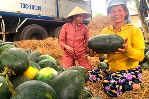 Farmers in central provinces enjoy bumper crops, high prices