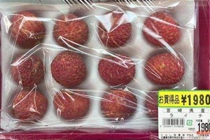 First batch of fresh Vietnamese lychees exported to Japan