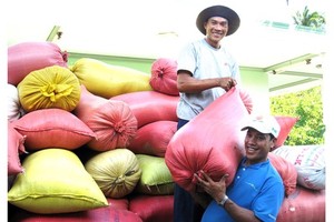Farmers in the Mekong Delta enjoy a bumper rice crop. (Photo: SGGP)