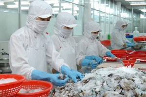 Export value of dried shrimps to South Korea jumps 194 percent