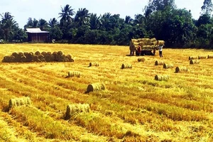 Mỗi năm có hơn 150.000 tấn phụ phẩm cần được "quay vòng"