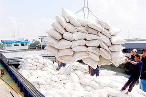 Belarus, Armenia to import 10,000 tons of rice from Vietnam next year