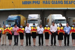 Mekong Delta exports first batch of shrimps