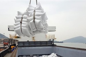 First 60 tons of Vietnamese rice enter UK under UKVFTA