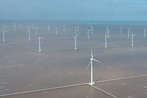 Wind power in Bac Lieu Province. (Photo: SGGP)