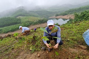 Mr. Hua Duc Nhi, Chairman of the Vietnam Forest Owners Association, plants trees in Ke Village. (Photo: SGGP)