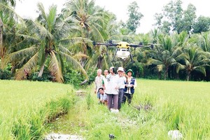 Agricultural production in Mekong Delta amid age of digital transformation