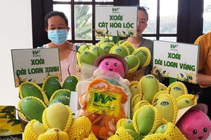 Global market remains potential for Vietnam's mango industry