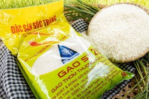 Sustainably strengthening position of Vietnamese rice in UK mạrket