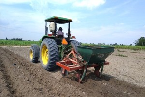 Domestic sugar industry needs support from appropriate policies