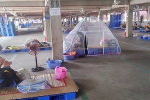 Enterprises need urgent support