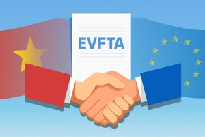 EVFTA fuels Vietnam’s imports from EU