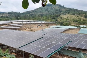 Many rooftop solar power projects camouflage as farms in Central Highlands