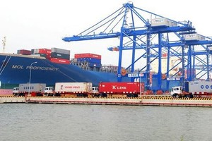Maritime Administration of Vung Tau asks load reduction for Cai Mep–Thi Vai Port