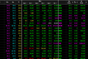 VN-Index soars by 14 points as nearly VND33 trillion poured into market