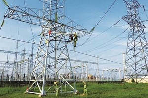 Funding urged for project linking Con Dao with national grid