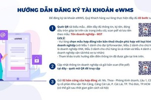 Tan Cang Warehousing JSC launches electronic warehouse management system