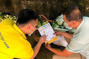 Vietnamese farmers join e-commerce platforms