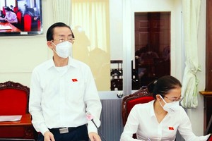 Director of HIDS suggests spending up to VND40 trillion to support businesses