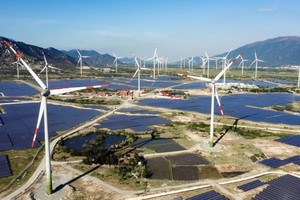 CCIBV pledges to accompany Vietnam in boosting green growth