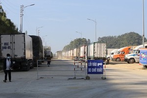 Agricultural products seriously stuck at Northern border gates