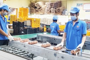 Abundant supply of Tet goods