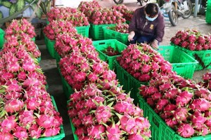 Largest-ever support package to strengthen farmers